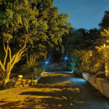 Cabana Vista Verde Cartago Dış mekan fotoğraf