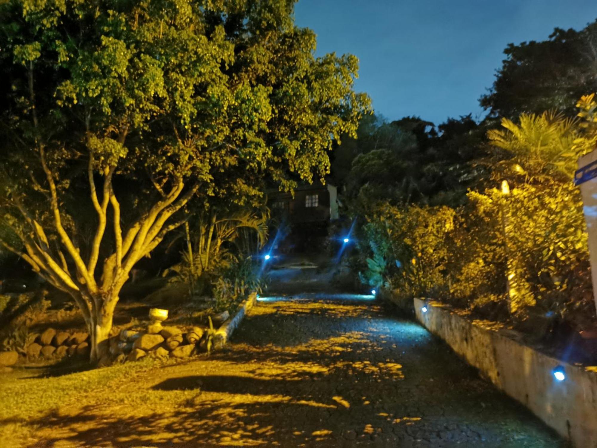 Cabana Vista Verde Cartago Dış mekan fotoğraf