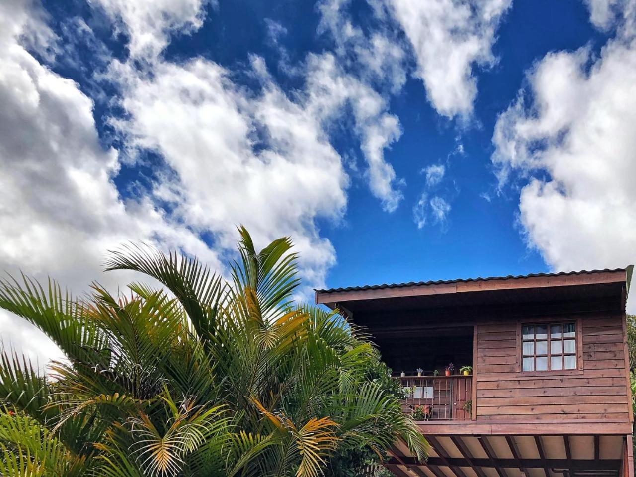 Cabana Vista Verde Cartago Dış mekan fotoğraf